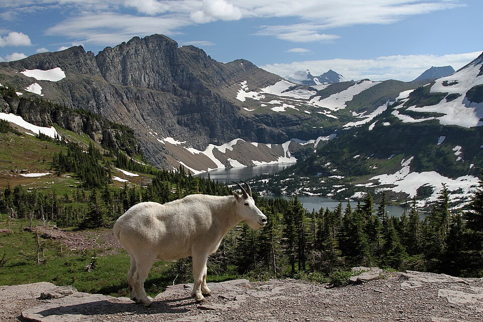 Glacier National Park (U.S.) — Montana