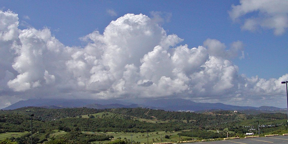 El Yunque National Forest — Puerto Rico