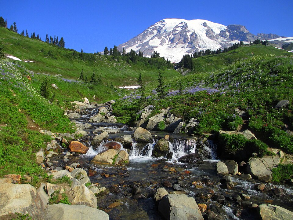 Mount Rainier National Park — Washington